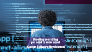 Custom-software-development